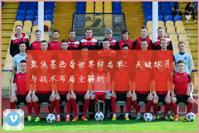 聚焦墨西哥世界杯名单：关键球员与战术布局全解析