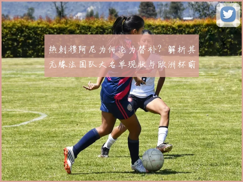 热刺穆阿尼为何沦为替补?解析其无缘法国队大名单现状与欧洲杯前景