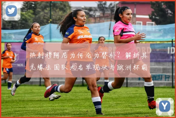 热刺穆阿尼为何沦为替补？解析其无缘法国队大名单现状与欧洲杯前景